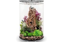 aquarium kit